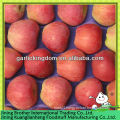 red star apple factory